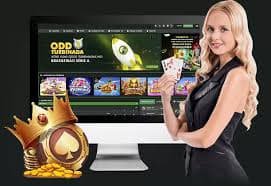 bet442